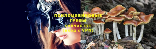 ПСИЛОЦИБИНОВЫЕ ГРИБЫ Аркадак