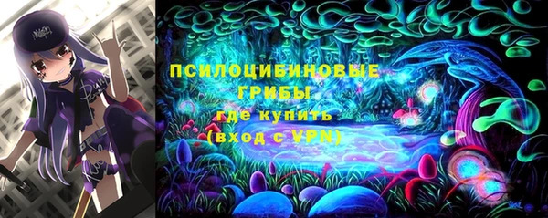 соль курить ск Арсеньев