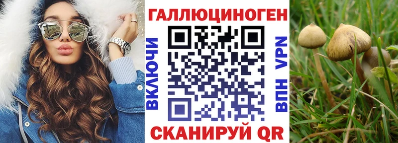 где можно купить наркотик  Армянск  darknet Telegram  Галлюциногенные грибы Cubensis 