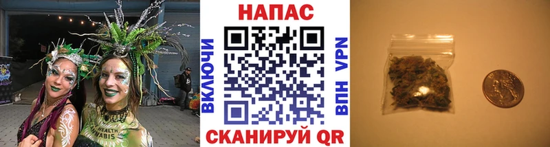 купить  цена  Армянск  Бошки марихуана сатива 